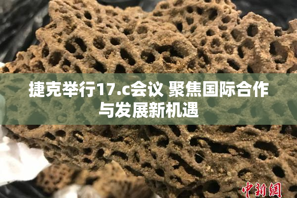 捷克举行17.c会议 聚焦国际合作与发展新机遇