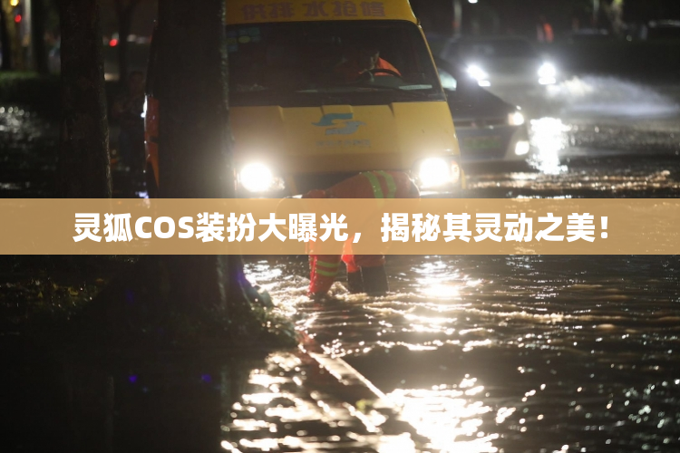 灵狐COS装扮大曝光，揭秘其灵动之美！