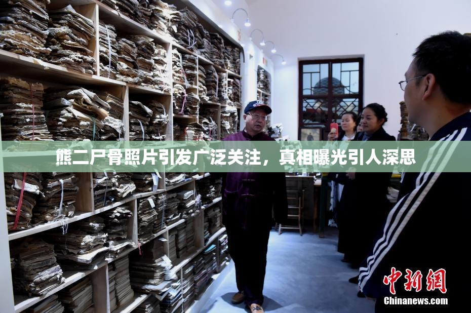 熊二尸骨照片引发广泛关注，真相曝光引人深思