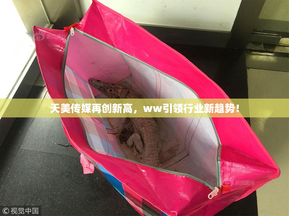 天美传媒再创新高，ww引领行业新趋势！