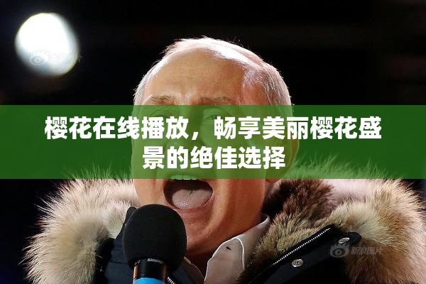 樱花在线播放，畅享美丽樱花盛景的绝佳选择