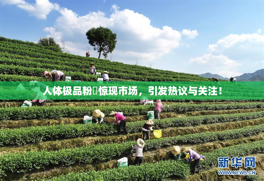 人体极品粉鮑惊现市场，引发热议与关注！