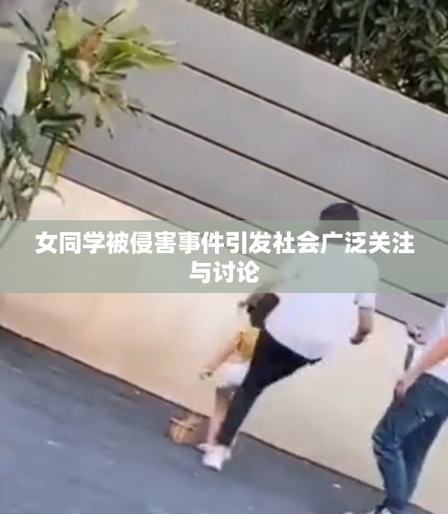 女同学被侵害事件引发社会广泛关注与讨论