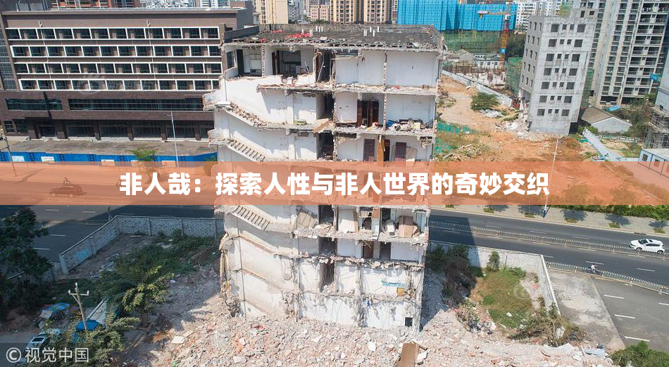 非人哉：探索人性与非人世界的奇妙交织