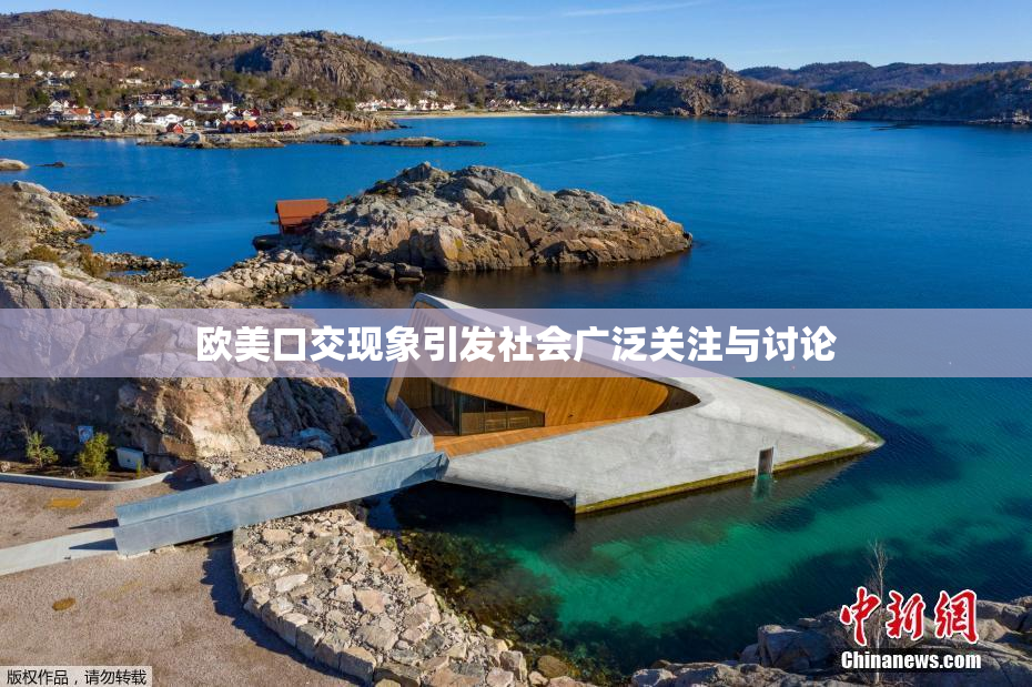 欧美口交现象引发社会广泛关注与讨论