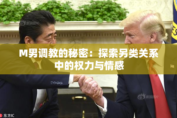 M男调教的秘密：探索另类关系中的权力与情感