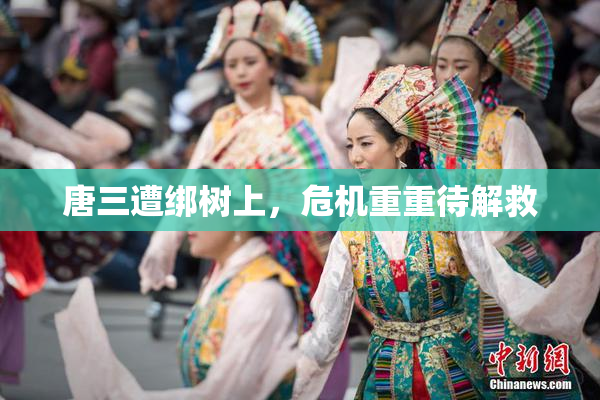 唐三遭绑树上，危机重重待解救