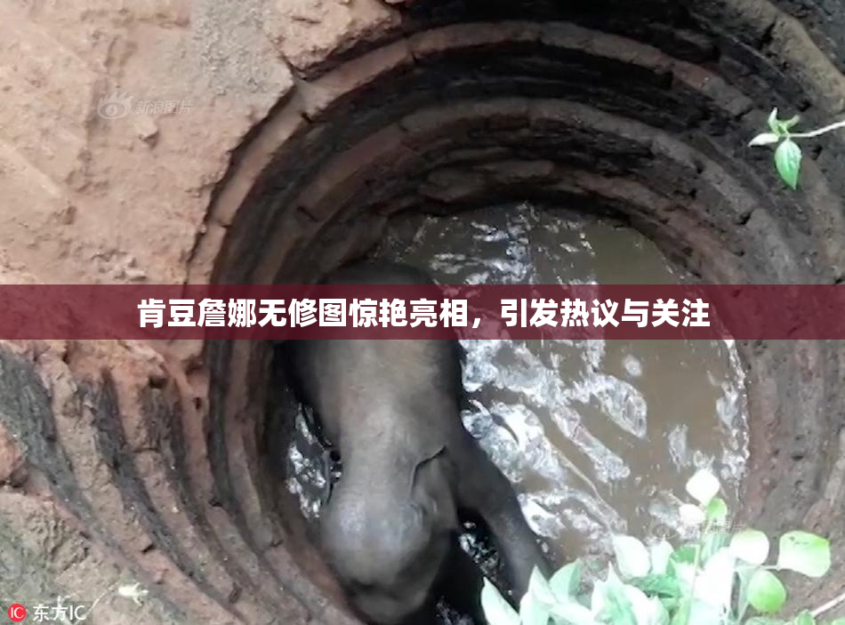 肯豆詹娜无修图惊艳亮相，引发热议与关注