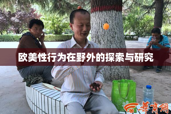 欧美性行为在野外的探索与研究