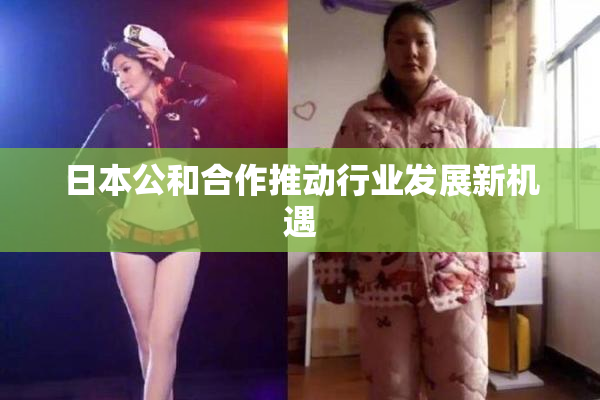 日本公和合作推动行业发展新机遇