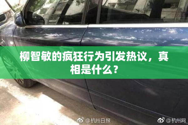 柳智敏的疯狂行为引发热议，真相是什么？