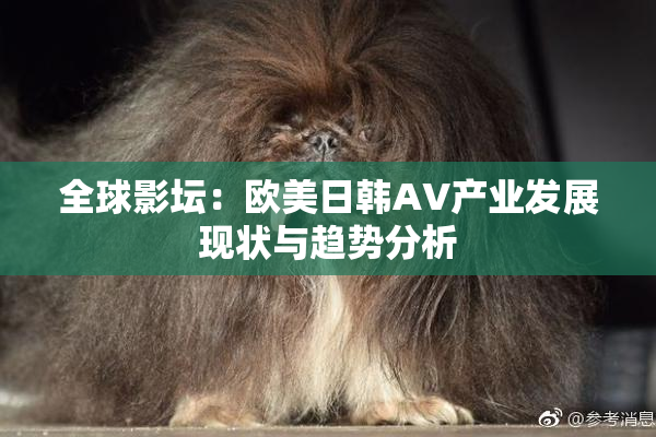 全球影坛：欧美日韩AV产业发展现状与趋势分析