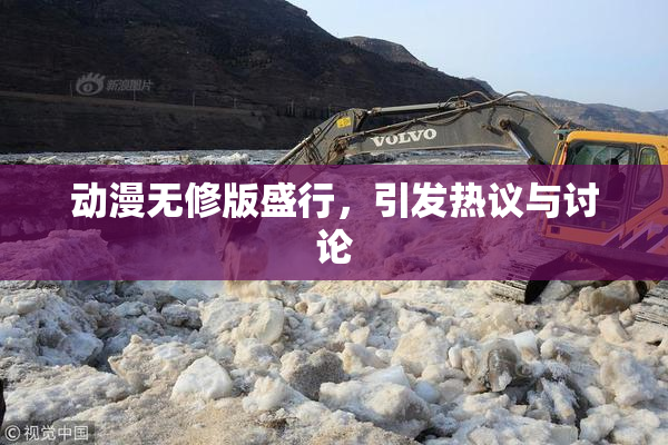 动漫无修版盛行，引发热议与讨论