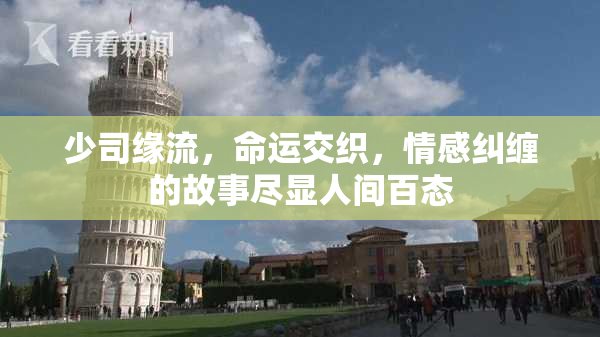 少司缘流，命运交织，情感纠缠的故事尽显人间百态
