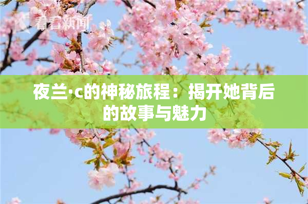 夜兰·c的神秘旅程：揭开她背后的故事与魅力