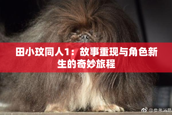 田小玟同人1：故事重现与角色新生的奇妙旅程
