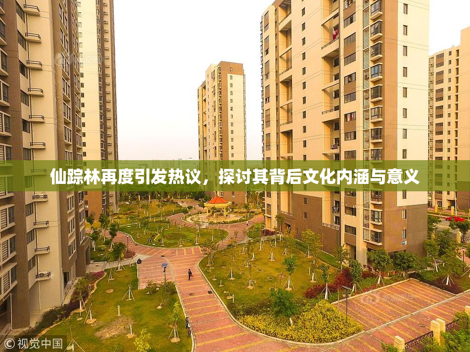 仙踪林再度引发热议，探讨其背后文化内涵与意义