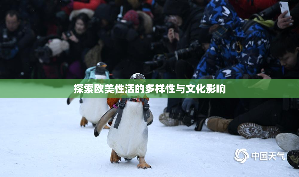 探索欧美性活的多样性与文化影响
