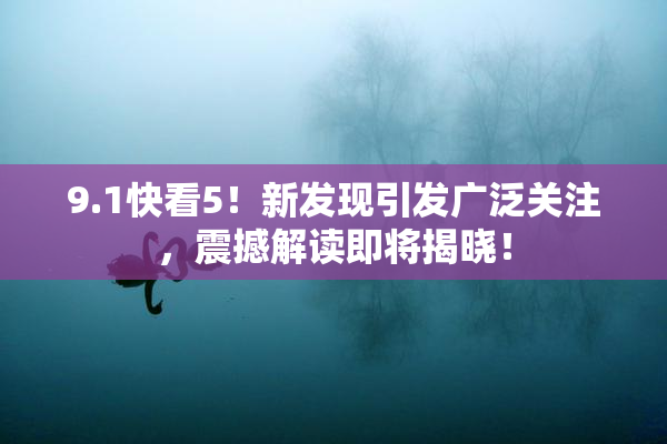 9.1快看5！新发现引发广泛关注，震撼解读即将揭晓！