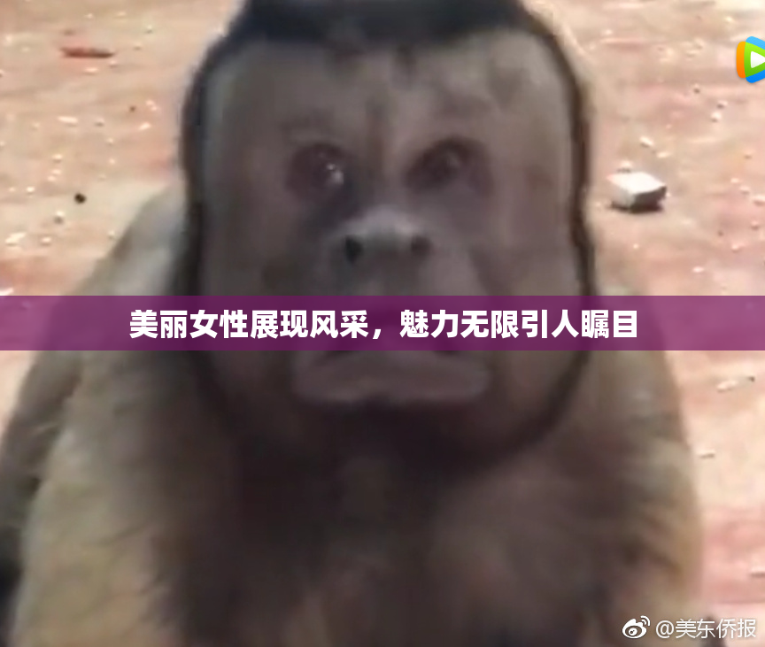美丽女性展现风采，魅力无限引人瞩目