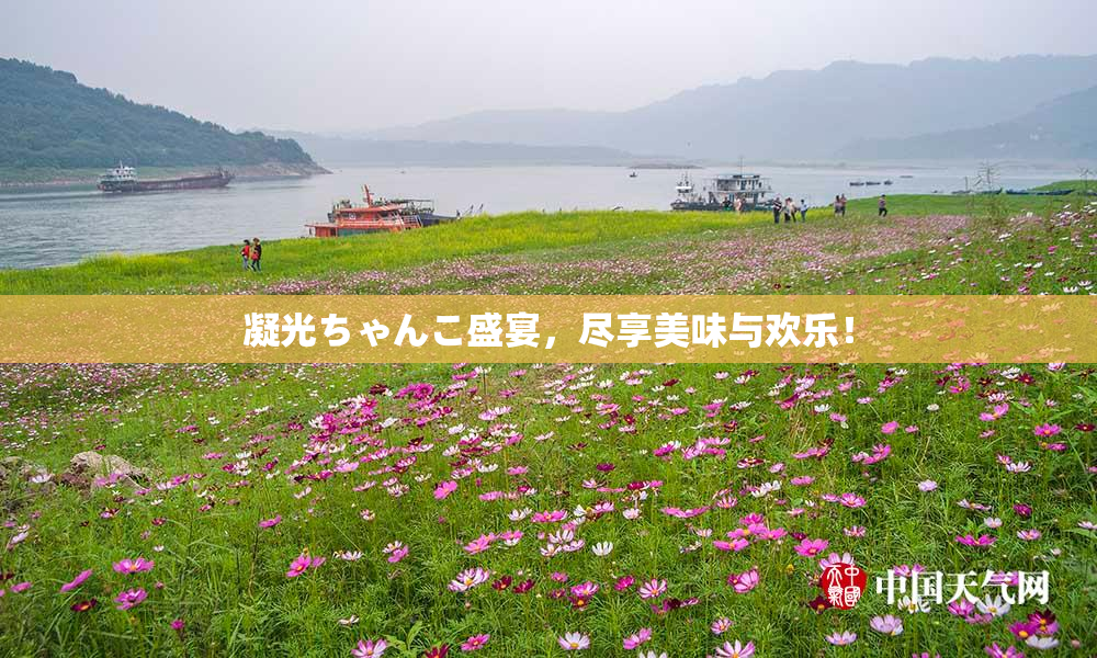 凝光ちゃんこ盛宴，尽享美味与欢乐！