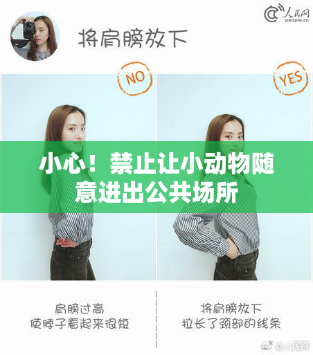小心！禁止让小动物随意进出公共场所
