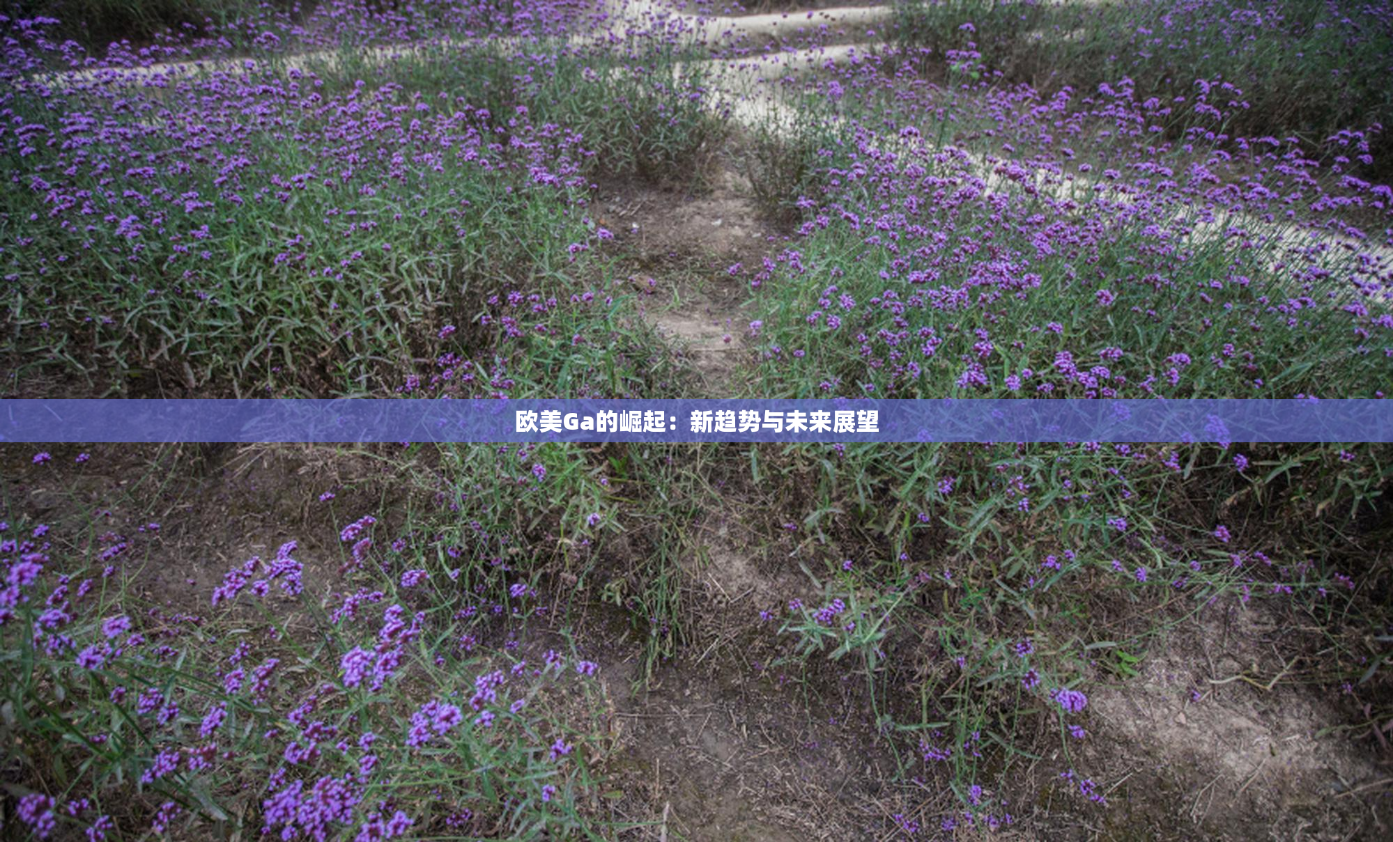 欧美Ga的崛起：新趋势与未来展望