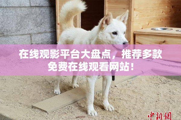在线观影平台大盘点，推荐多款免费在线观看网站！