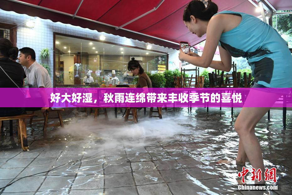 好大好湿，秋雨连绵带来丰收季节的喜悦