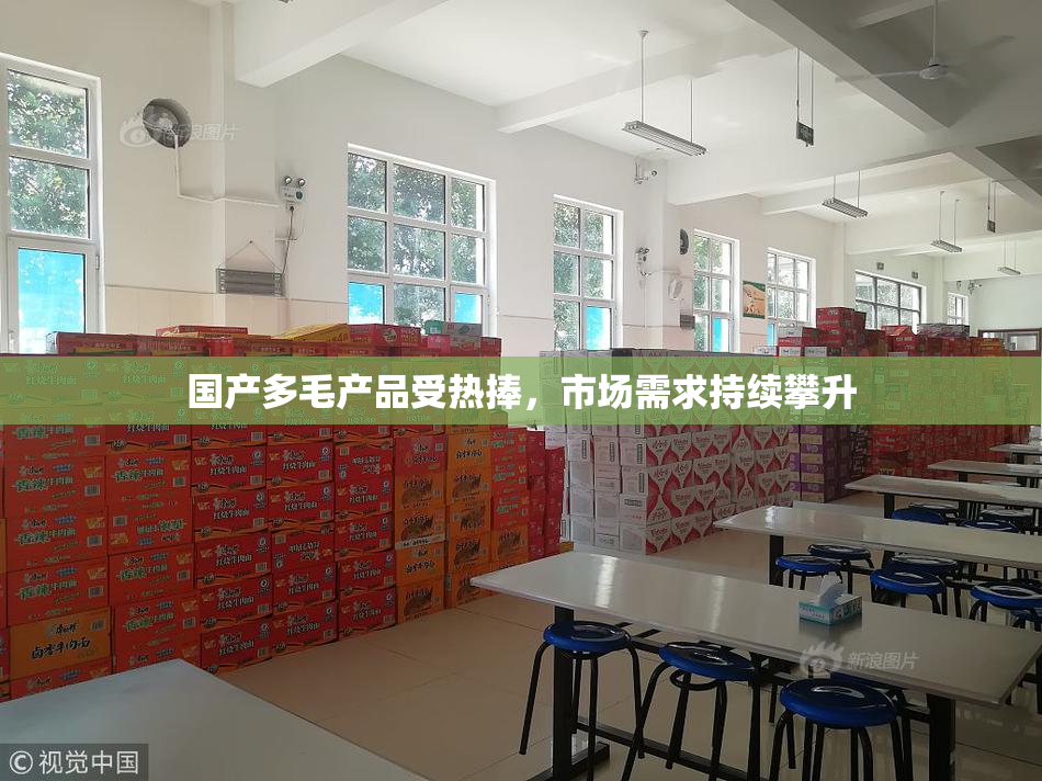 国产多毛产品受热捧，市场需求持续攀升