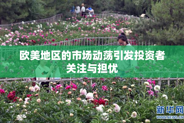 欧美地区的市场动荡引发投资者关注与担忧