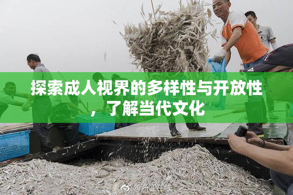 探索成人视界的多样性与开放性，了解当代文化