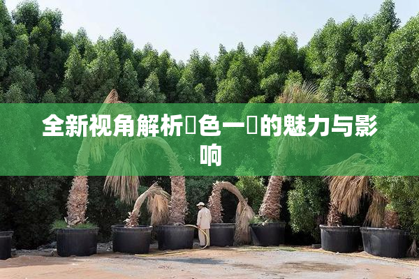 全新视角解析黃色一級的魅力与影响