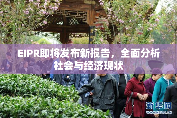 EIPR即将发布新报告，全面分析社会与经济现状
