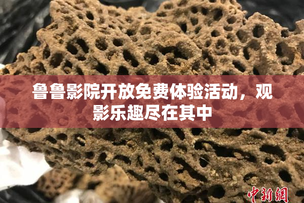 鲁鲁影院开放免费体验活动，观影乐趣尽在其中