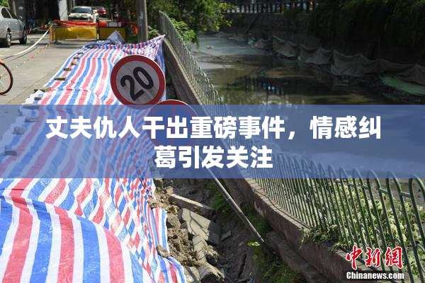 丈夫仇人干出重磅事件，情感纠葛引发关注