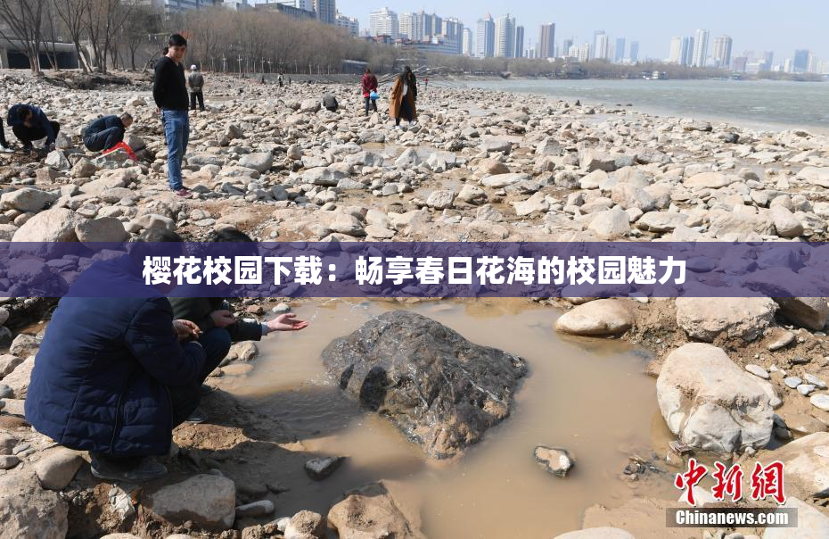 樱花校园下载：畅享春日花海的校园魅力
