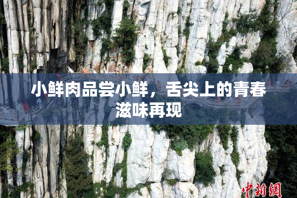 小鲜肉品尝小鲜，舌尖上的青春滋味再现