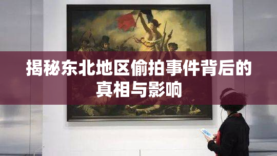 揭秘东北地区偷拍事件背后的真相与影响