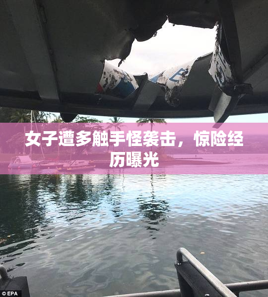 女子遭多触手怪袭击，惊险经历曝光