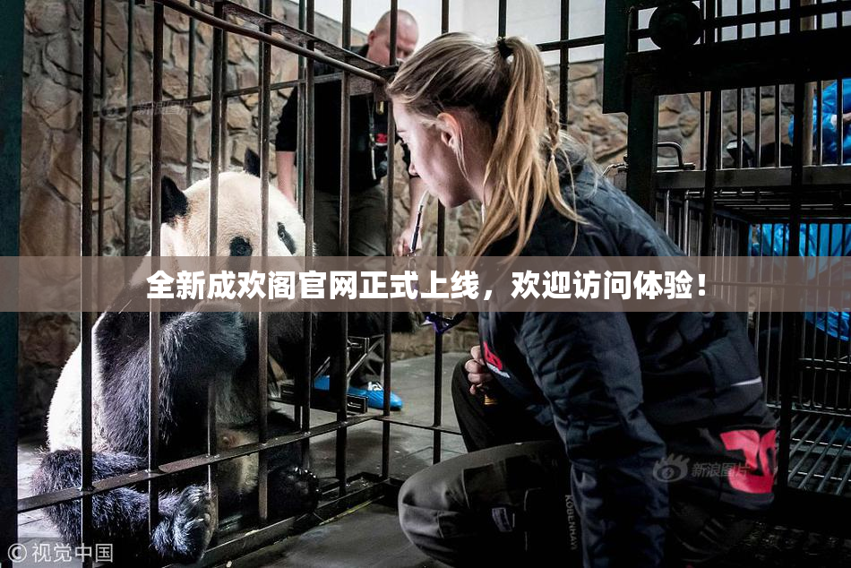 全新成欢阁官网正式上线，欢迎访问体验！