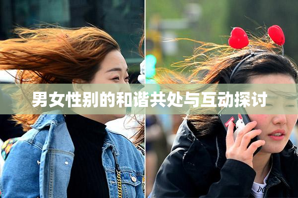 男女性别的和谐共处与互动探讨