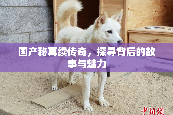 国产秘再续传奇，探寻背后的故事与魅力