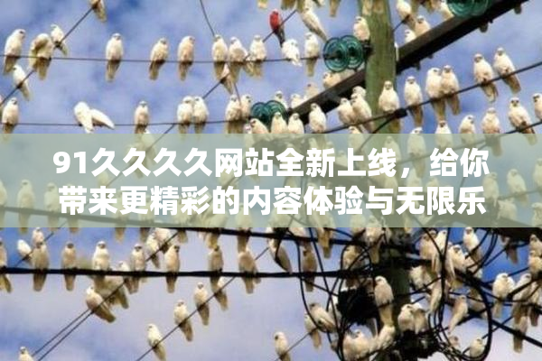 91久久久久网站全新上线，给你带来更精彩的内容体验与无限乐趣！