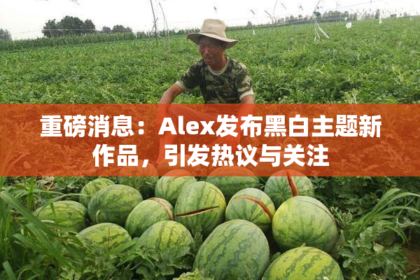 重磅消息：Alex发布黑白主题新作品，引发热议与关注