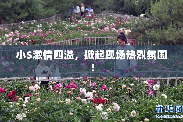 小S激情四溢，掀起现场热烈氛围！