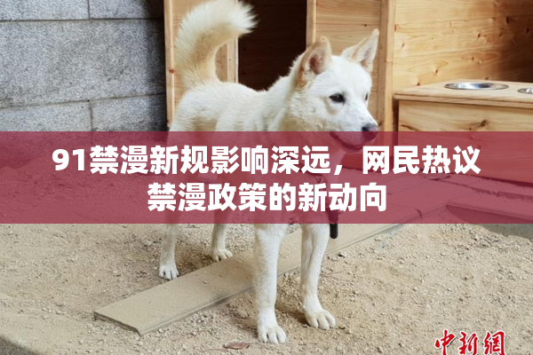 91禁漫新规影响深远，网民热议禁漫政策的新动向
