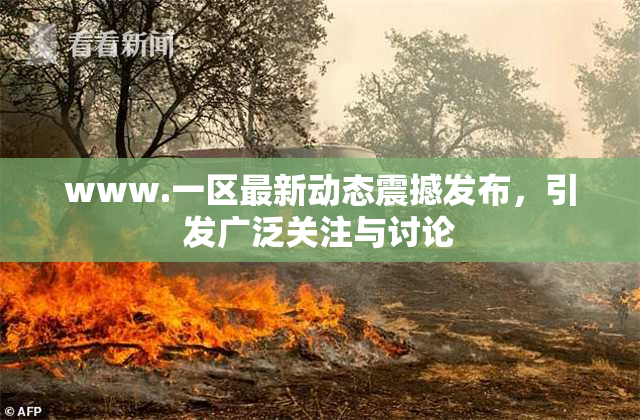 www.一区最新动态震撼发布，引发广泛关注与讨论