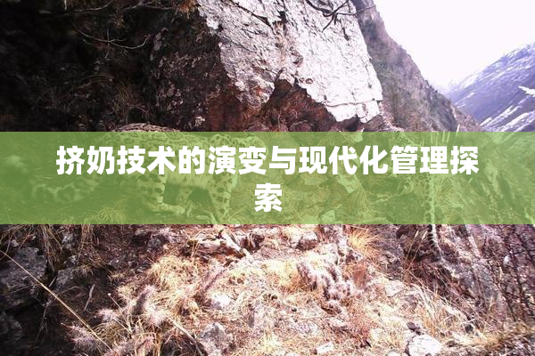 挤奶技术的演变与现代化管理探索