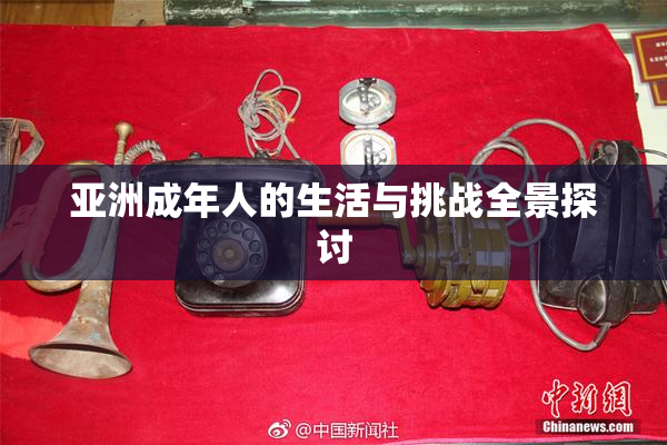 亚洲成年人的生活与挑战全景探讨